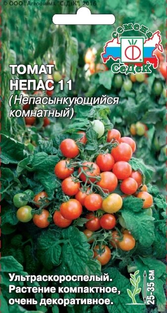 ТОМАТ НЕПАС 11 (НЕПАСЫНКУЮЩИЙСЯ КОМНАТНЫЙ) 0,1 гр от компании Садовник - все для сада и огорода - фото 1