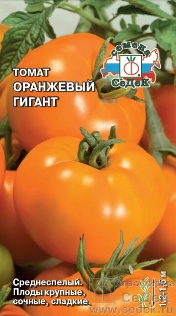 Томат Оранжевый Гигант 0,1 гр СДК ! НОВИНКА! от компании Садовник - все для сада и огорода - фото 1