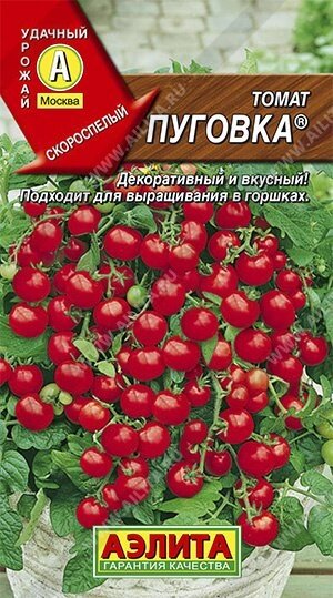 Томат Пуговка 0.05г. АЭЛИТА от компании Садовник - все для сада и огорода. Семена почтой по всей РБ - фото 1