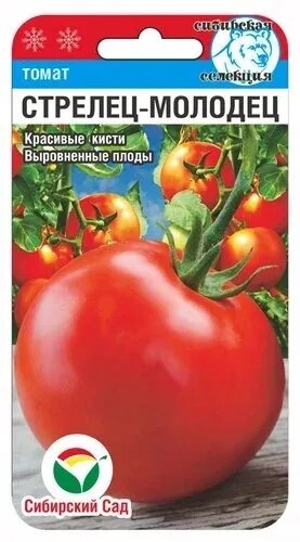 Томат Стрелец-молодец 20шт томат (Сиб Сад) сроки до 12,24г от компании Садовник - все для сада и огорода. Семена почтой по всей РБ - фото 1