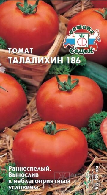 Томат Талалихин 186 от компании Садовник - все для сада и огорода - фото 1