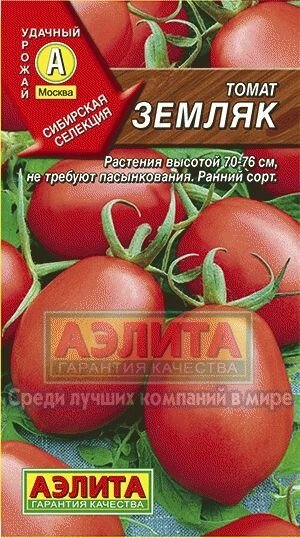 Томат Земляк 0,2 г  АЭЛИТА от компании Садовник - все для сада и огорода. Семена почтой по всей РБ - фото 1