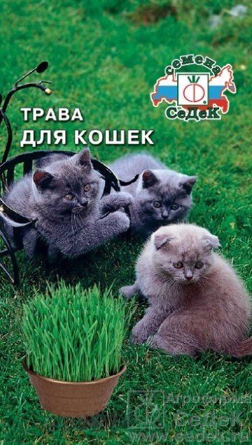 Травадля кошек 10гр. от компании Садовник - все для сада и огорода - фото 1