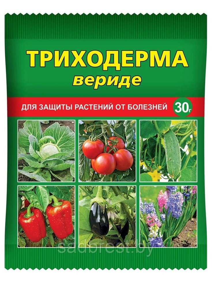 Триходерма Биопрепарат Вериде, 15 гр от компании Садовник - все для сада и огорода - фото 1