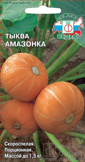Тыква Амазонка  1,5 гр СДК ! НОВИНКА! от компании Садовник - все для сада и огорода - фото 1