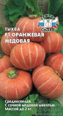 Тыква Оранжевая Медовая F1 1 г. от компании Садовник - все для сада и огорода - фото 1