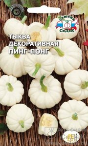 Тыква Пинг-Понг (декоративная) 0,25 гр СДК ! НОВИНКА!