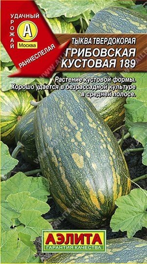 Тыква твердокорая Грибовская кустовая 189 1г. (А) от компании Садовник - все для сада и огорода. Семена почтой по всей РБ - фото 1