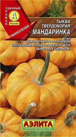 Тыква твердокорая Мандаринка, 1 г (АЭЛИТА) от компании Садовник - все для сада и огорода. Семена почтой по всей РБ - фото 1