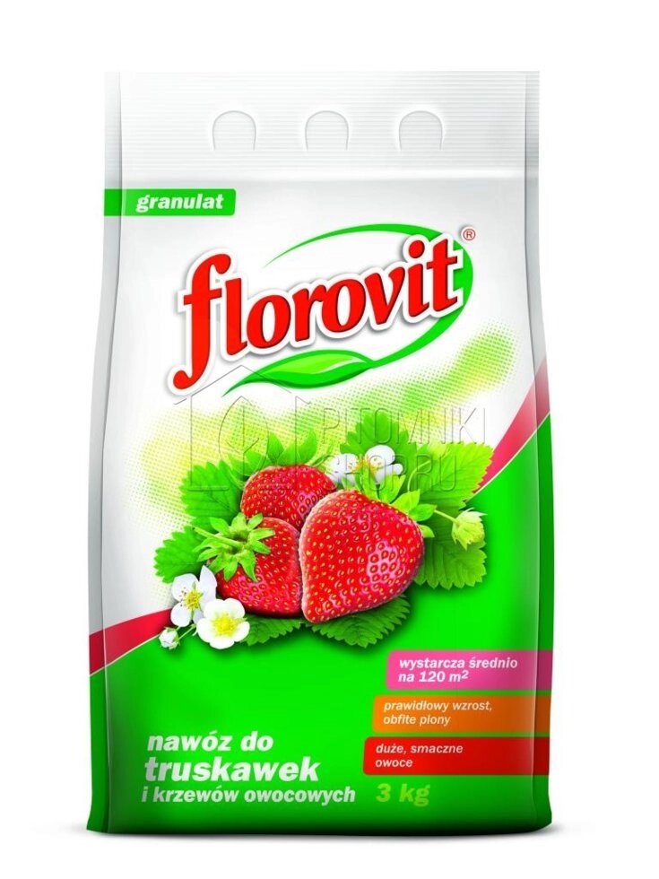 Удобрение Florovit (Флоровит) для клубники 3 кг от компании Садовник - все для сада и огорода - фото 1