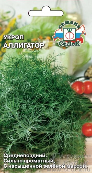 Укроп Аллигатор 1 гр СДК ! НОВИНКА! от компании Садовник - все для сада и огорода - фото 1
