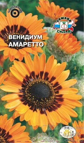 Венидиум Амаретто Оранжевый 0,1 гр СДК ! НОВИНКА! от компании Садовник - все для сада и огорода - фото 1