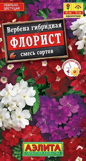 Вербена Флорист  смесь 40шт НОВИНКА аэлита от компании Садовник - все для сада и огорода. Семена почтой по всей РБ - фото 1