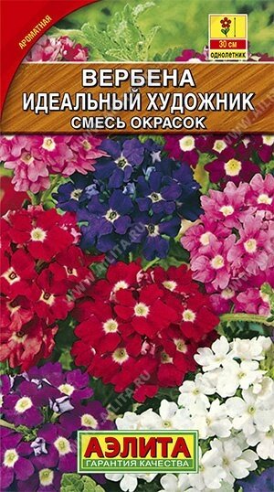 Вербена гибридная Идеальный художник, смесь 40шт А. от компании Садовник - все для сада и огорода. Семена почтой по всей РБ - фото 1
