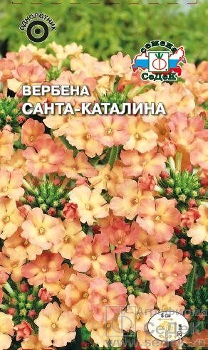 Вербена Санта-Каталина Абрикосово-розовая 0,05 гр СДК ! НОВИНКА! от компании Садовник - все для сада и огорода - фото 1