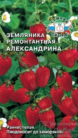 Земляника Александрина (мелкоплодн. ремонтант.) 0.04 г. от компании Садовник - все для сада и огорода - фото 1