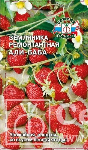 Земляника Али-Баба0,04г от компании Садовник - все для сада и огорода - фото 1