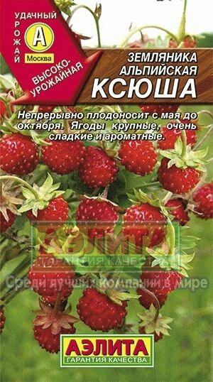 Земляника альпийская Ксюша  0.04 г. на скидке срок годности до 12,24г от компании Садовник - все для сада и огорода - фото 1