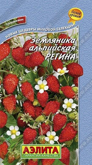 Земляника альпийская Регина 0.04 г. А на скидке срок годности до 12,24г от компании Садовник - все для сада и огорода - фото 1