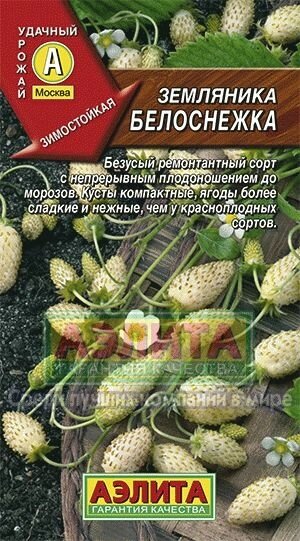 Земляника Белоснежка 0,03гр от компании Садовник - все для сада и огорода. Семена почтой по всей РБ - фото 1