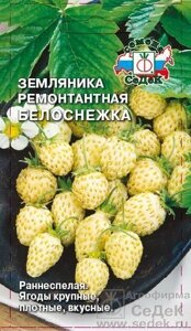 Земляника Белоснежка 0,04г