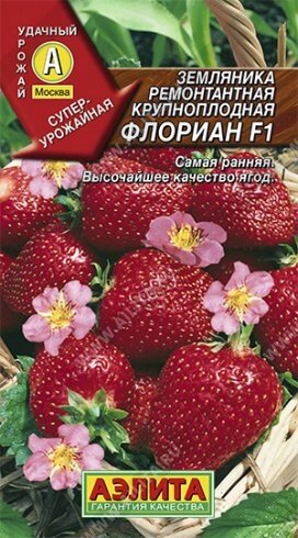 Земляника Флориан F1 5шт А сроки до 12,24 от компании Садовник - все для сада и огорода - фото 1
