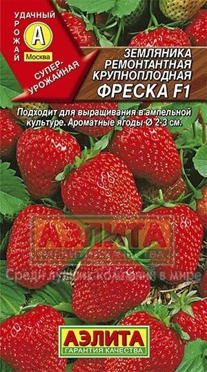 Земляника ремонтантная крупноплодная Фреска F1 10шт А на скидке срок годности до 12,24г от компании Садовник - все для сада и огорода. Семена почтой по всей РБ - фото 1