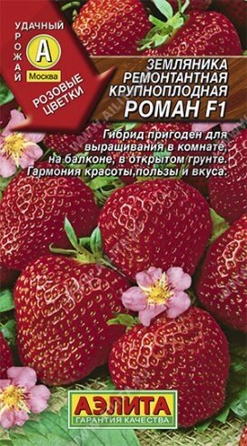 Земляника Роман F1 5шт А от компании Садовник - все для сада и огорода. Семена почтой по всей РБ - фото 1