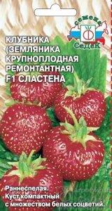 Земляника Сластена F1 (крупноплодная ремонтантная, клубника) 15 шт