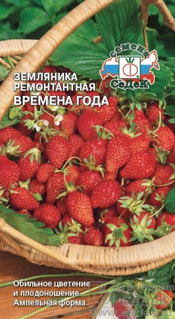 Земляника Времена года 0,04 гр СДК от компании Садовник - все для сада и огорода. Семена почтой по всей РБ - фото 1