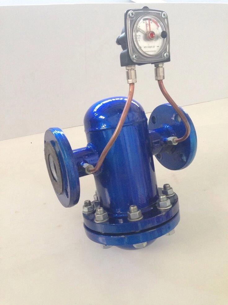Фильтр газовый с устройством индикации ФГИ DN 40 с условным проходом DN 40 - гарантия