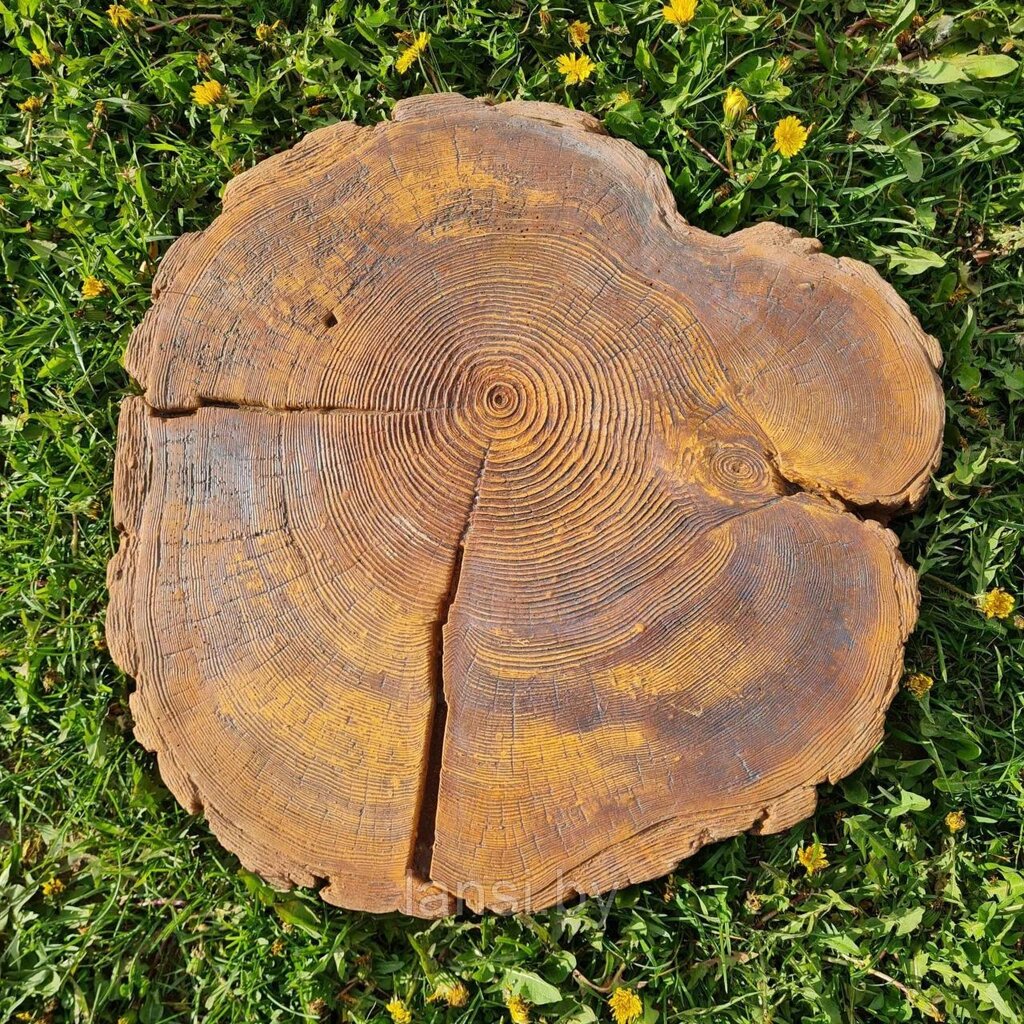 Плитка для пошаговых дорожек "Срез дерева 1" от компании ООО «Ланси» - фото 1