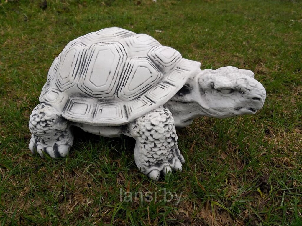 Скульптура "Черепаха нова" от компании ООО «Ланси» - фото 1