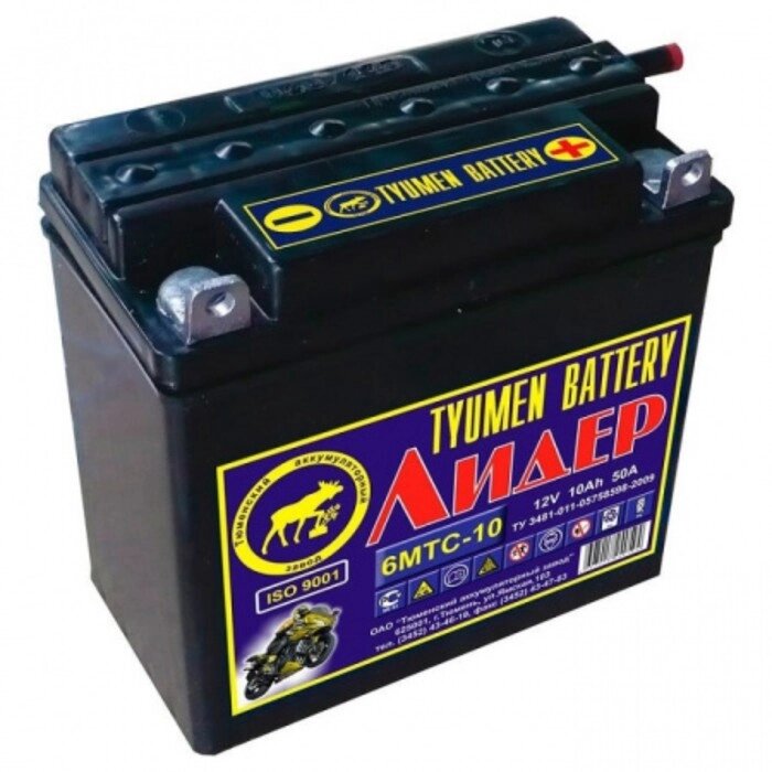 Аккумуляторная батарея Тюмень 10 Ач 12 Вольт 6МТС-10 Лидер от компании Интернет-гипермаркет «MALL24» - фото 1