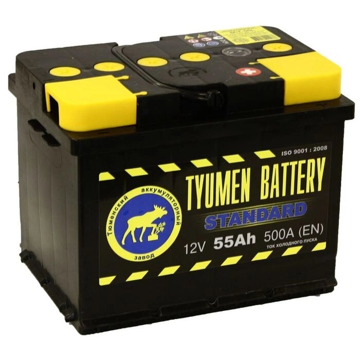 Аккумуляторная батарея Тюмень 55 Ач, обратная полярность 6СТ-55L, Standard от компании Интернет-гипермаркет «MALL24» - фото 1