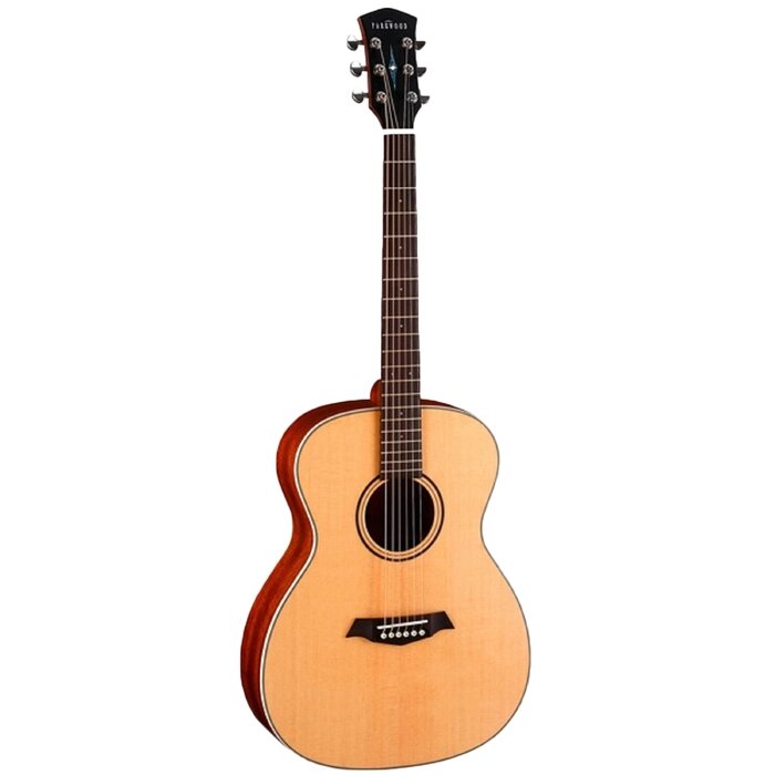 Акустическая гитара Parkwood S22-GT с чехлом, глянец от компании Интернет-гипермаркет «MALL24» - фото 1