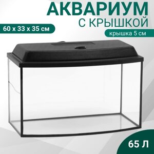 Аквариум телевизор 600*330*350 мм, с крышкой (Е14) 65 л