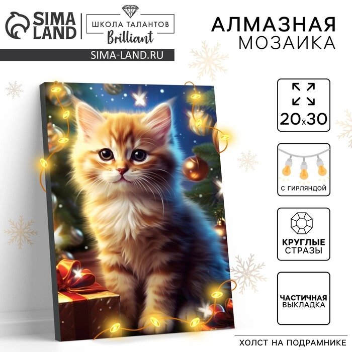 Алмазная мозаика на новый год с частичным заполнением на подрамнике "Котенок", 20 х 30 см, с гирляндой, от компании Интернет-гипермаркет «MALL24» - фото 1