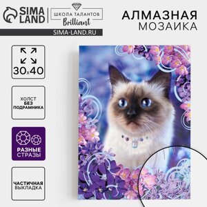 Алмазная вышивка форменными стразами "Красивая кошечка" 30*40 см