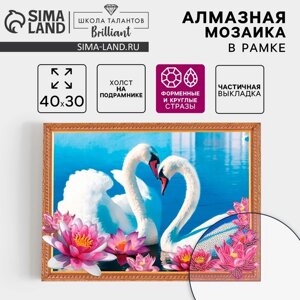 Алмазная вышивка форменными стразами "Лебедь" на раме 30*40 см