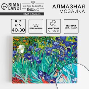 Алмазная вышивка с полным заполнением "Ирисы" 30х40 см