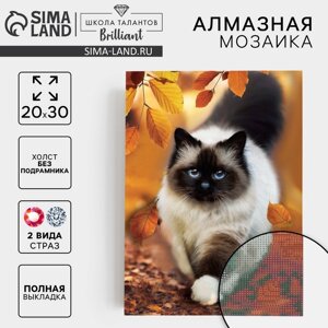 Алмазная вышивка с полным заполнением "Кошка" 20*30 см