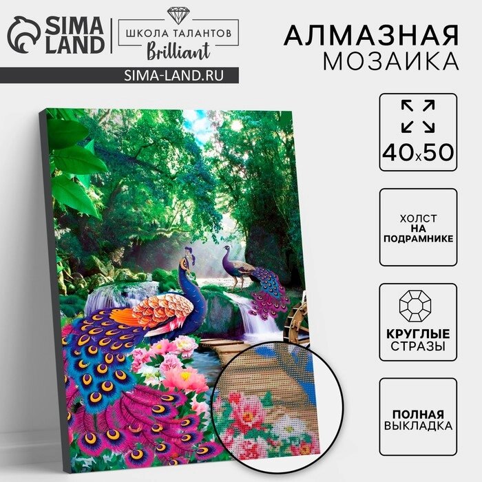 Алмазная вышивка с полным заполнением "Павлины" 40*50 см, на раме от компании Интернет-гипермаркет «MALL24» - фото 1