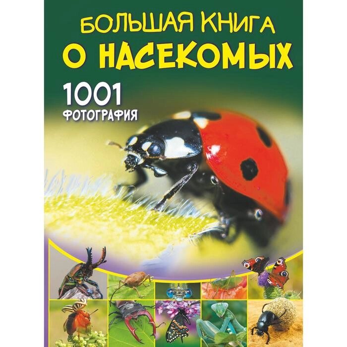 Большая книга о насекомых. 1001 фотография. Спектор А. А. от компании Интернет-гипермаркет «MALL24» - фото 1