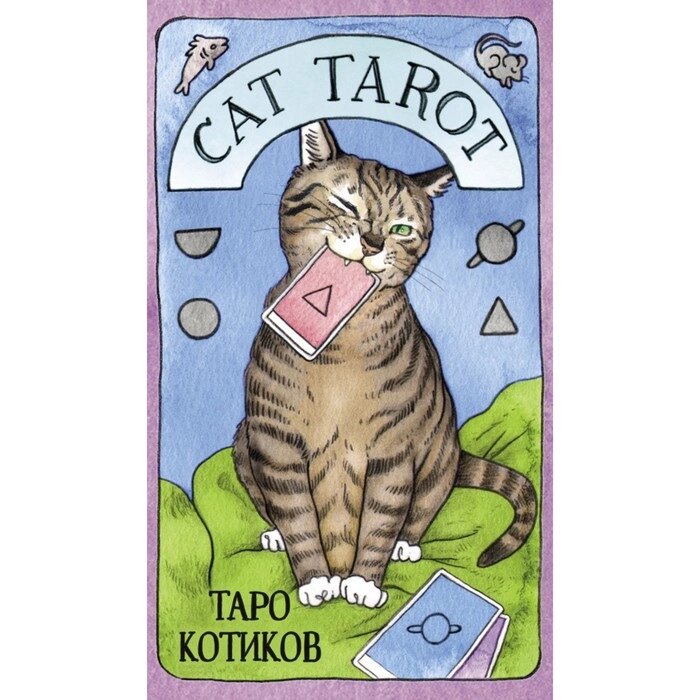 Cat Tarot. Таро Котиков (78 карт и руководство в подарочном футляре). Линн Котт Меган от компании Интернет-гипермаркет «MALL24» - фото 1