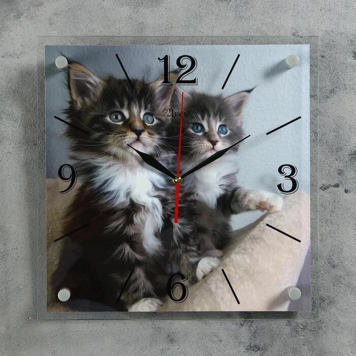 Часы настенные "котята" 35х35 см от компании Интернет-гипермаркет «MALL24» - фото 1