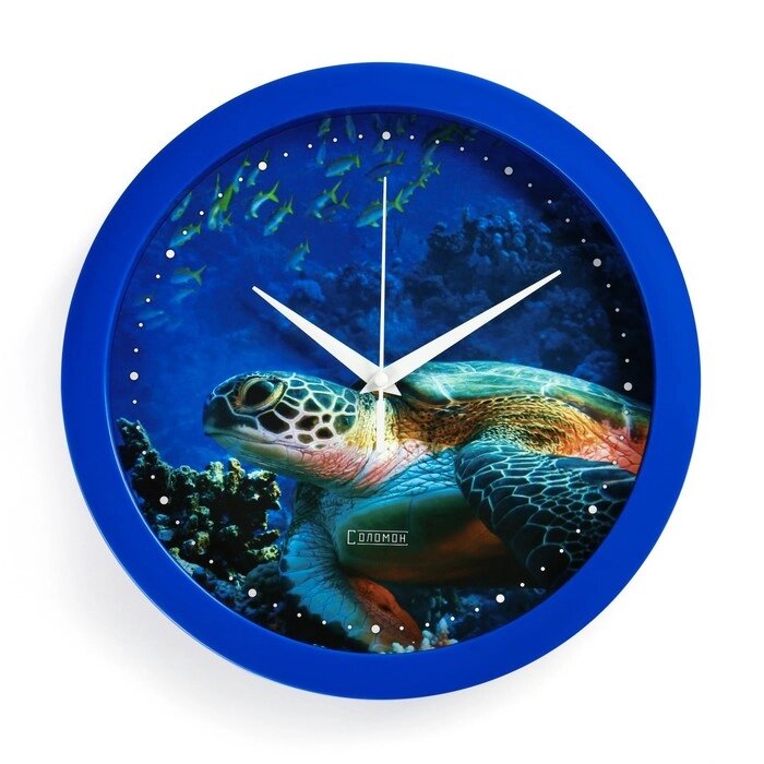 Часы настенные, серия: Животный мир, "Черепаха", плавный ход, d=28 см от компании Интернет-гипермаркет «MALL24» - фото 1