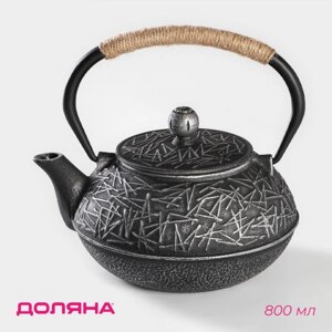 Чайник Доляна "Хрома", с ситом, 800 мл, эмалированное покрытие внутри