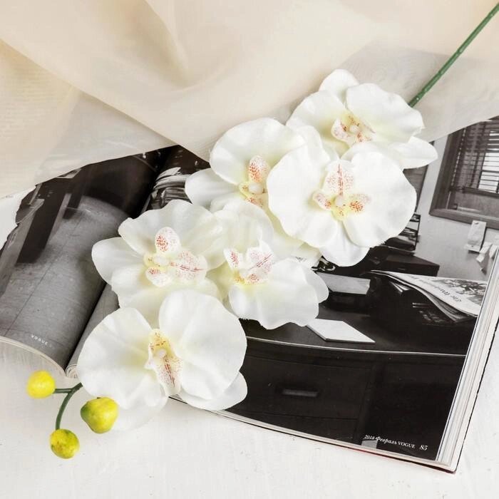 Цветок искусственный "Орхидея" 9*60 см, белая с жёлтым от компании Интернет-гипермаркет «MALL24» - фото 1