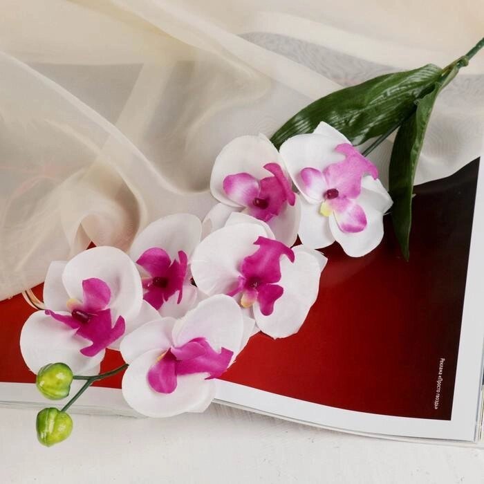 Цветы искусственные орхидея пышность 60 см белый от компании Интернет-гипермаркет «MALL24» - фото 1